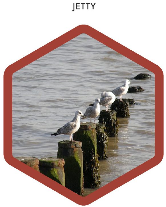 What Is Coastal Protection Structures? & Its Importance