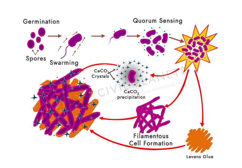 What Is Self Healing Concrete ? How It Works? [Civil Planets]