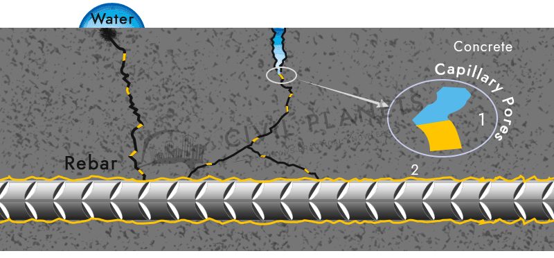 Capillary Pores in Concrete